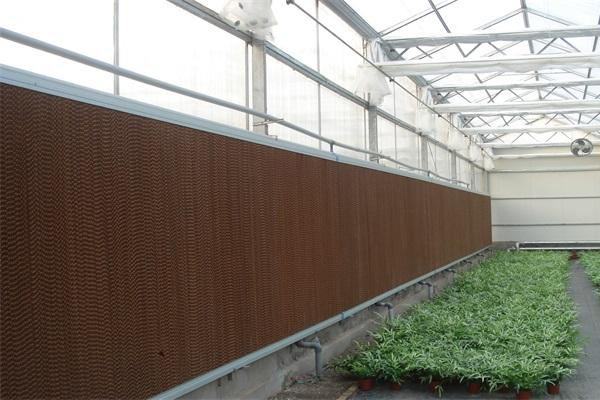 如何判斷濕簾是否需要更換?